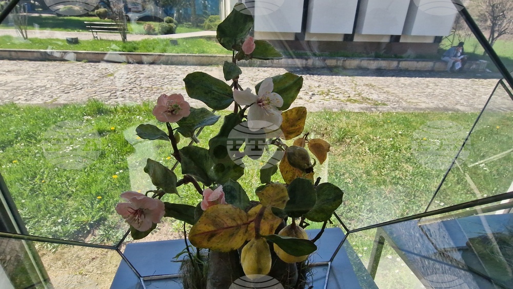 Село Орешак - „Керамична флористика - изкуство и ботаника“ - изложба