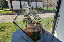 Село Орешак - „Керамична флористика - изкуство и ботаника“ - изложба