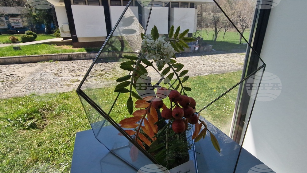 Село Орешак - „Керамична флористика - изкуство и ботаника“ - изложба