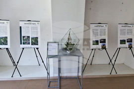 Село Орешак - „Керамична флористика - изкуство и ботаника“ - изложба