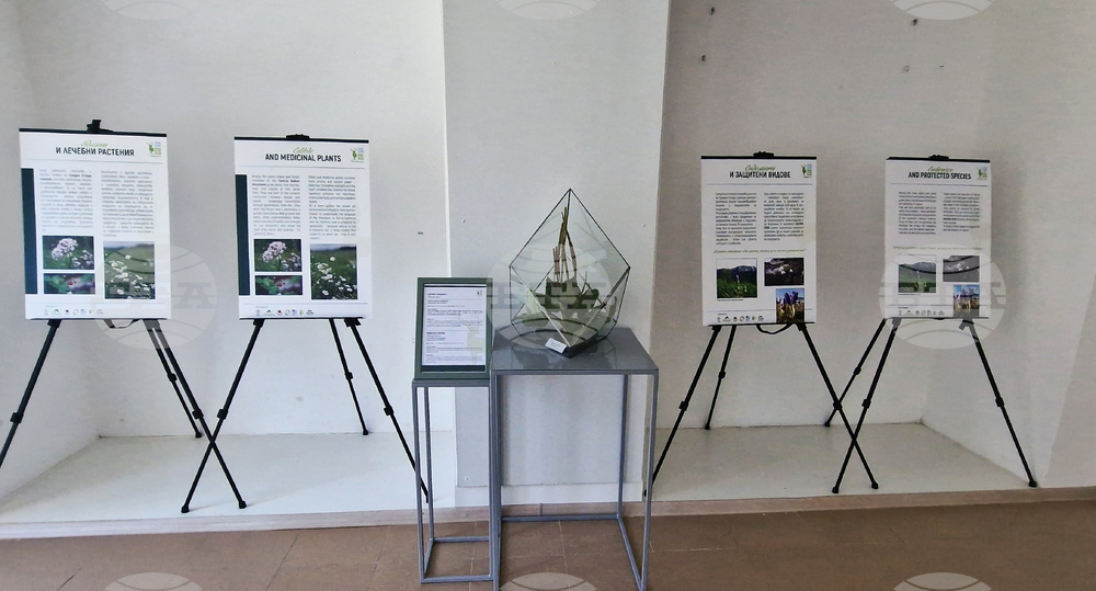 Село Орешак - „Керамична флористика - изкуство и ботаника“ - изложба