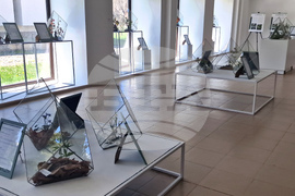 Село Орешак - „Керамична флористика - изкуство и ботаника“ - изложба