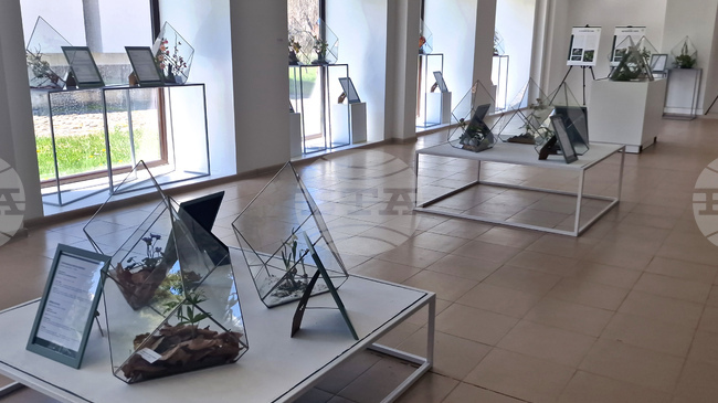 Село Орешак - „Керамична флористика - изкуство и ботаника“ - изложба