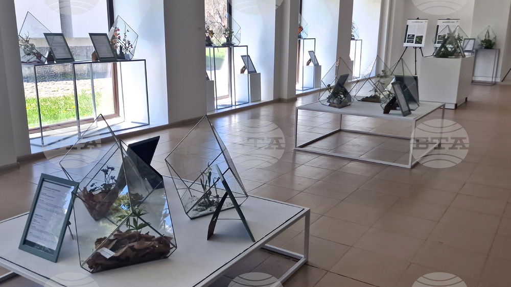 Село Орешак - „Керамична флористика - изкуство и ботаника“ - изложба