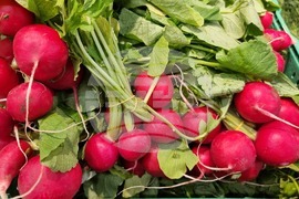 Румъния - Букурещ - Великден - цени