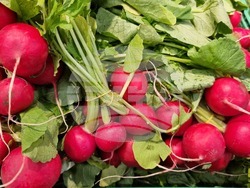 Румъния - Букурещ - Великден - цени