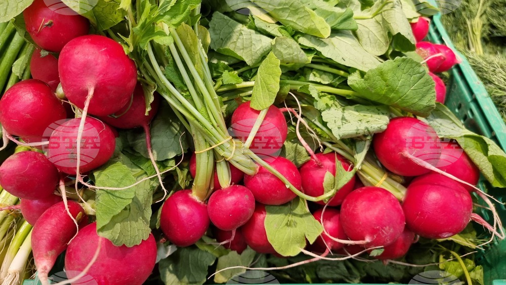 Румъния - Букурещ - Великден - цени