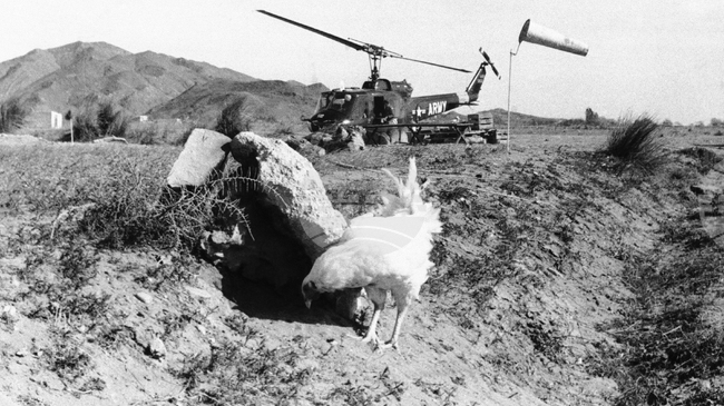 В продължение на 80 дни, преди 60 години, американски военни издирват изгубена водородна бомба в Средиземно море, край Испания