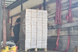 Добрич - бюлетини