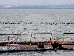 Giro d’Italia in Bulgaria, Stage 1: the Route Comes to Life in Images Captured on Camera by BTA