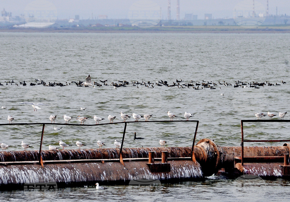 Giro d’Italia in Bulgaria, Stage 1: the Route Comes to Life in Images Captured on Camera by BTA