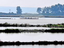 Giro d’Italia in Bulgaria, Stage 1: the Route Comes to Life in Images Captured on Camera by BTA