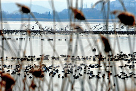 Giro d’Italia in Bulgaria, Stage 1: the Route Comes to Life in Images Captured on Camera by BTA