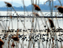 Giro d’Italia in Bulgaria, Stage 1: the Route Comes to Life in Images Captured on Camera by BTA