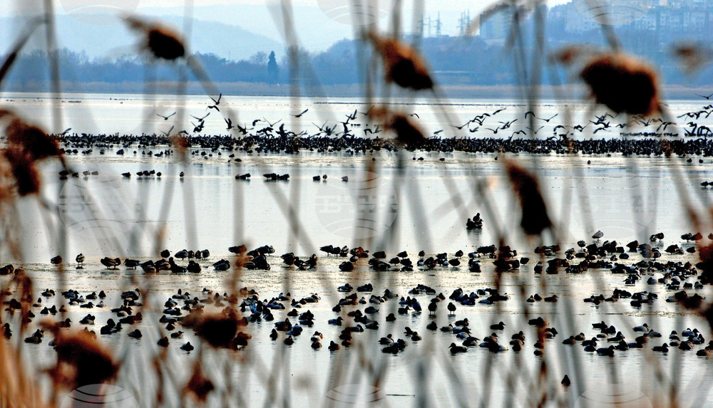 Giro d’Italia in Bulgaria, Stage 1: the Route Comes to Life in Images Captured on Camera by BTA
