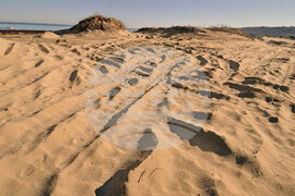 Giro d’Italia in Bulgaria, Stage 1: the Route Comes to Life in Images Captured on Camera by BTA