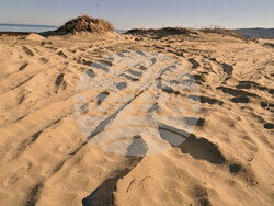 Giro d’Italia in Bulgaria, Stage 1: the Route Comes to Life in Images Captured on Camera by BTA