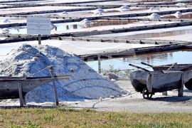 Giro d’Italia in Bulgaria, Stage 1: the Route Comes to Life in Images Captured on Camera by BTA