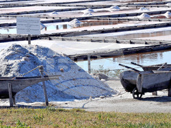 Giro d’Italia in Bulgaria, Stage 1: the Route Comes to Life in Images Captured on Camera by BTA