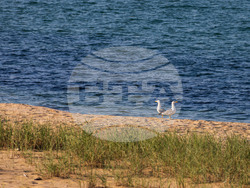 Giro d’Italia in Bulgaria, Stage 1: the Route Comes to Life in Images Captured on Camera by BTA