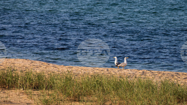 Bulgaria Is Among EU Countries with Best Bathing Water Quality