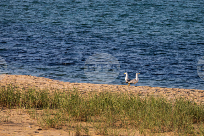 Bulgaria Is Among EU Countries with Best Bathing Water Quality