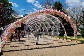 Сливен - Великденска украса