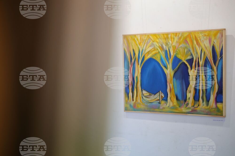 Бургас - Димитър Райколов - изложба живопис