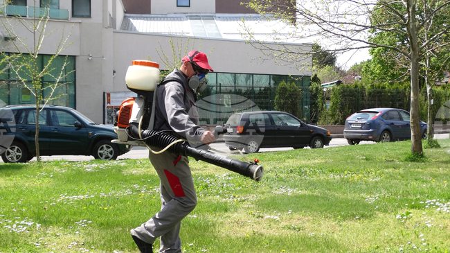 Планова дезакаризация на зелени площи срещу кърлежи и бълхи ще се извърши в Луковит