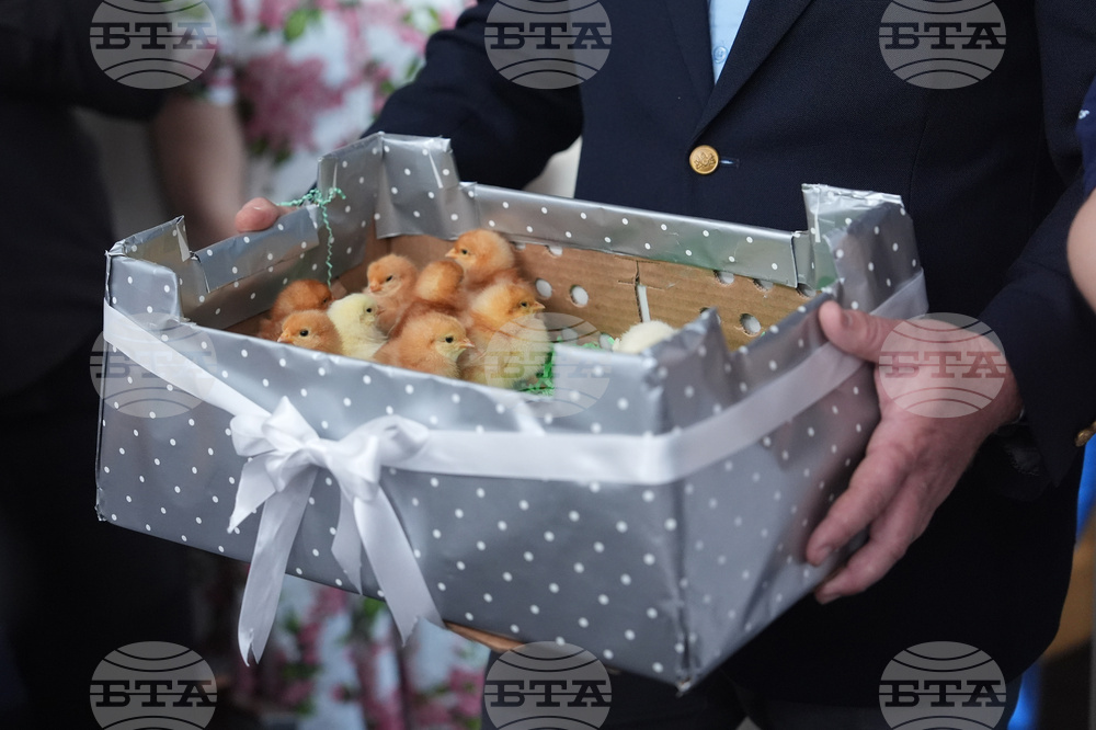 White House Easter Egg Roll