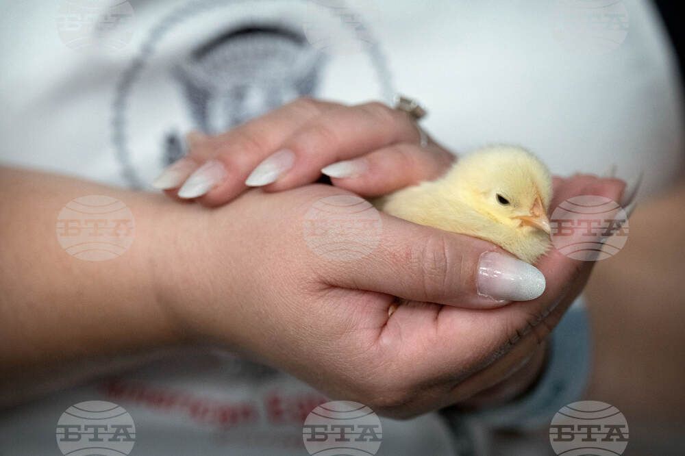 White House Easter Egg Roll