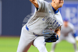 Cubs Rays Baseball