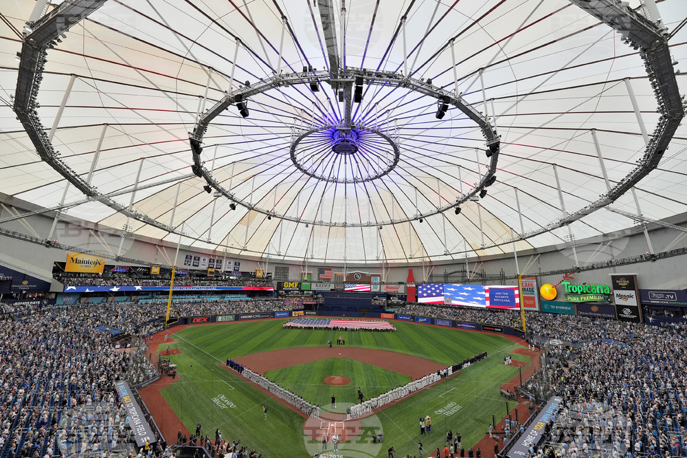 APTOPIX Cubs Rays Baseball