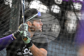 Astros Rockies Baseball