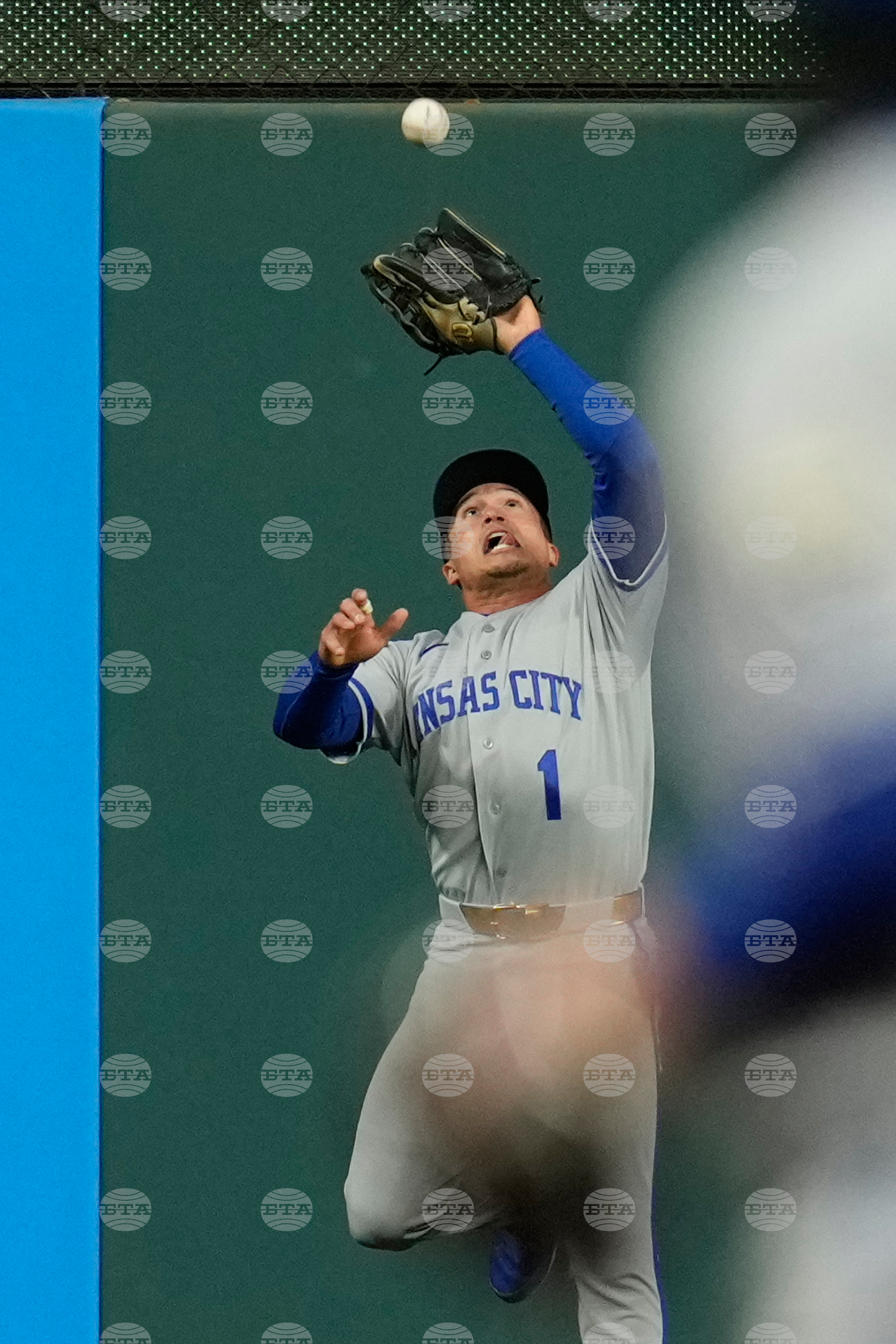 Royals Guardians Baseball