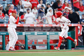 Braves Angels Baseball