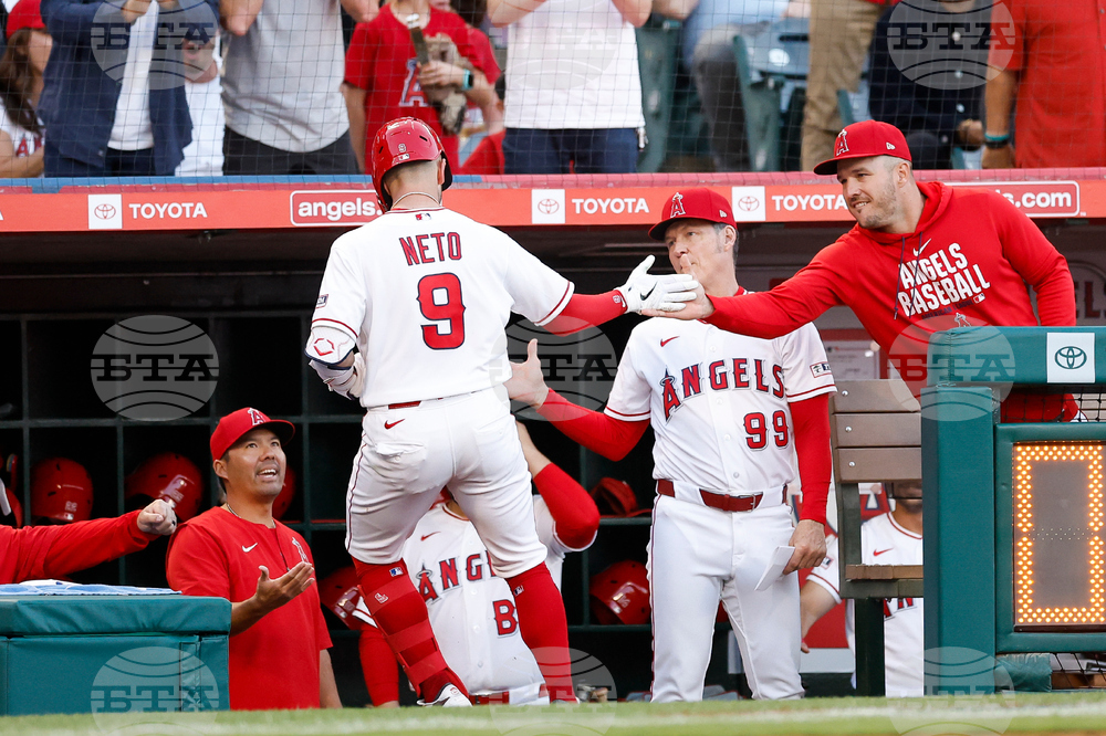 Braves Angels Baseball