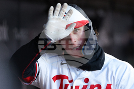 Tigers Twins Baseball