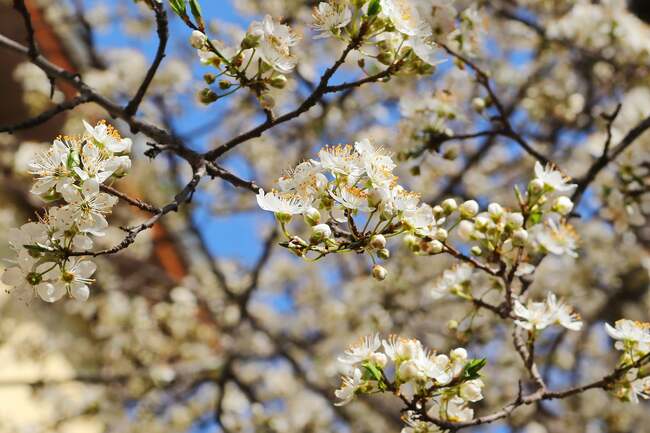 Поздравление на областния управител на област Стара Загора Ива Радева за професионалния празник на работещите в здравеопазването – 7 април