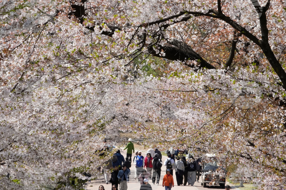 South Korea Daily Life