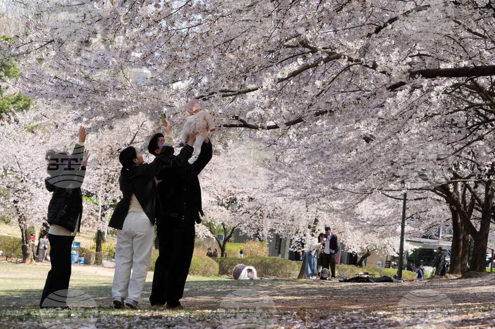 South Korea Daily Life