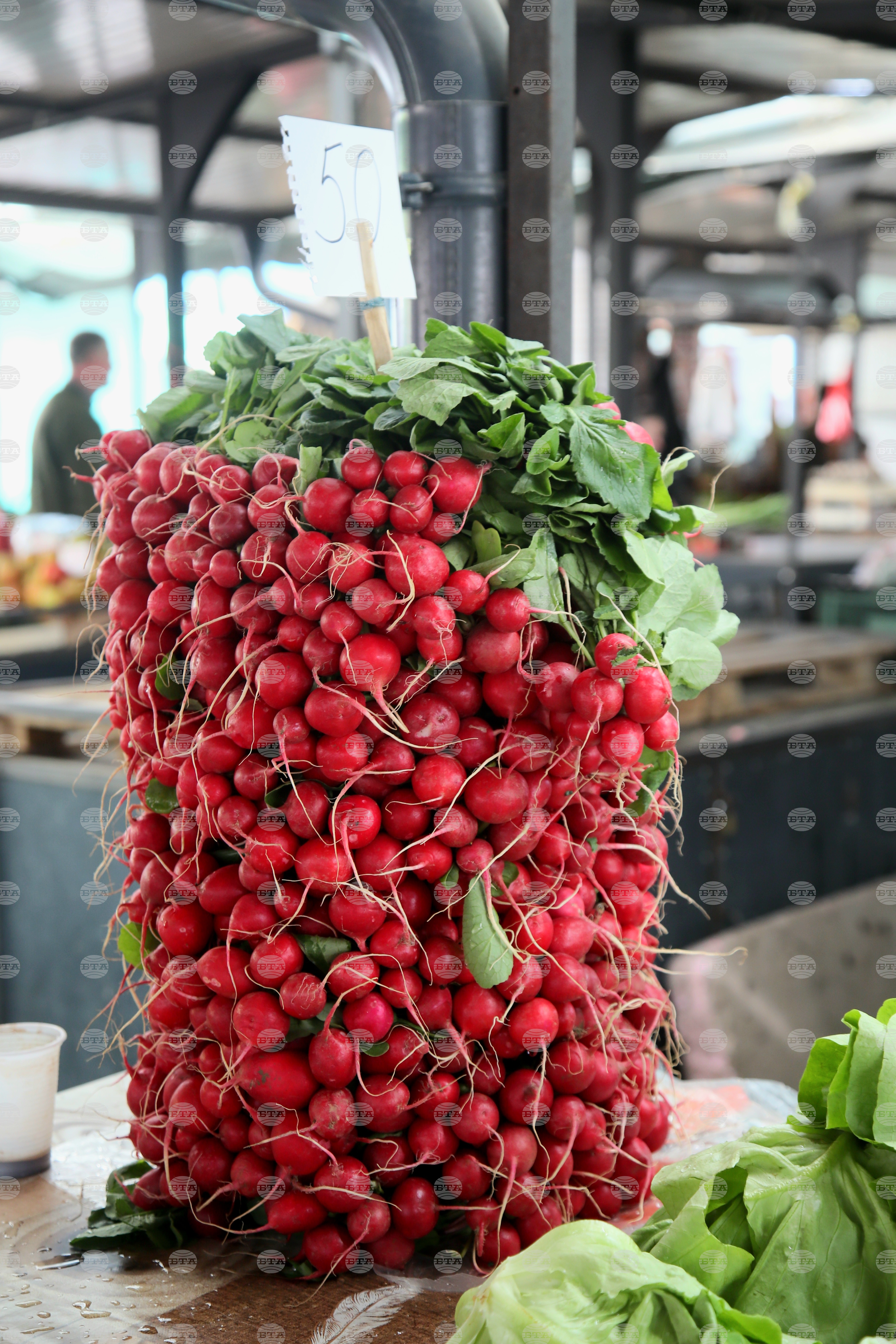 Сърбия - Белград - Великден
