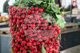 Сърбия - Белград - Великден