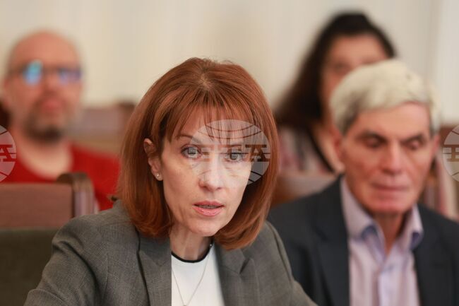За първи път има възможност за преглед на изходния код на системите, използвани за обработка на данните от гласуването, каза Камелия Нейкова