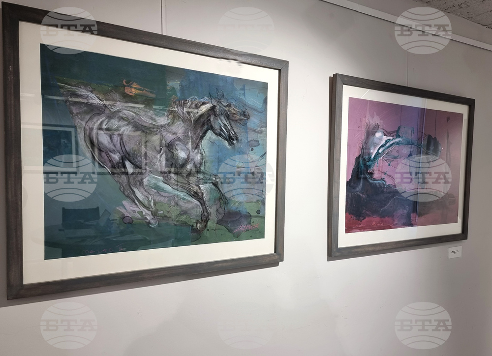 Варна - Боян Янев - изложба „Пътуване отвъд безкрайността“