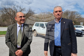 Шумен - Шуменско плато - съхнене на дървета