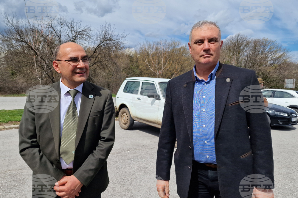 Шумен - Шуменско плато - съхнене на дървета