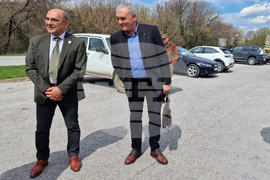 Шумен - Шуменско плато - съхнене на дървета