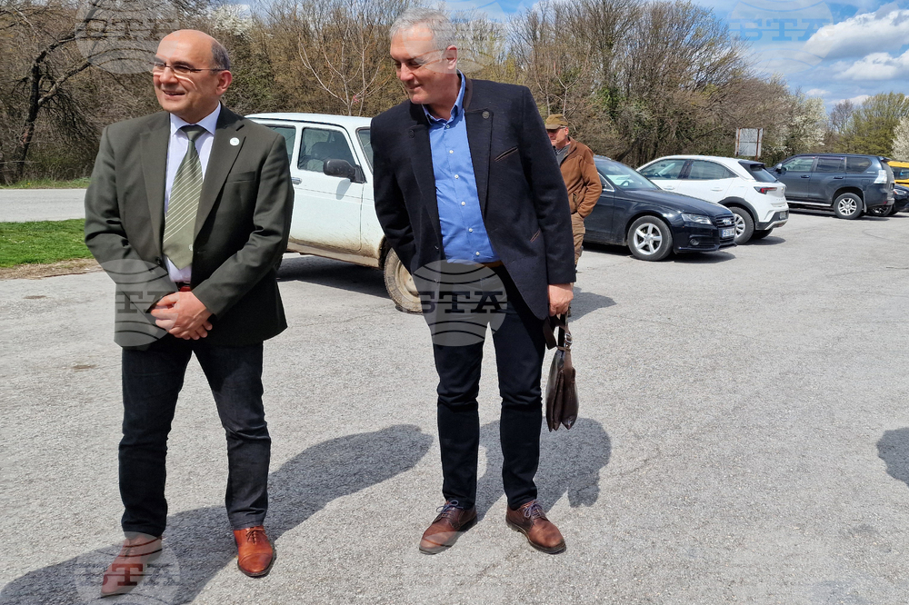 Шумен - Шуменско плато - съхнене на дървета