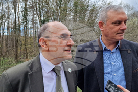 Шумен - Шуменско плато - съхнене на дървета